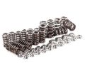 Picture of IE 1.8T 20V Valve Spring/Retainer Kit