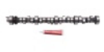 Picture of TiAL Sport 1-50in ID 4 Ply Poly 3in Long Coolant Hose - Glossy Black TIAL41GB-150X3