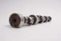 Picture of TLS Coolant Hoses