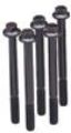 Picture of ARP 5-16-24 x 3-500 Hex Black Oxide Bolts Pack of 5