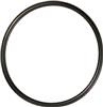 Picture of Gates 96-01 A4 inc Quattro - 95-04 A6 inc Quattro Thermostat Seal