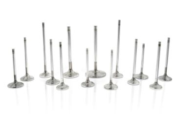 Picture of FER Hollow Intake Valve - Sets