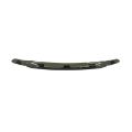 Picture of Westin 2001-2004 Toyota Sequoia Wade Platinum Bug Shield - Smoke