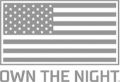 Picture of Rigid Industries Radiance Pod Blue Backlight - Pair