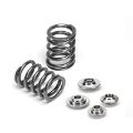 Picture of Supertech Mazda Miata 1-6L Single Valve Spring Kit
