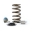 Picture of COMP Cams Ford 5-0L Coyote Valve Spring Kit O-D- -959in