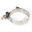 Picture of Stainless Works 2 1-4in Single Band Clamp