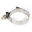 Picture of Stainless Works 6 1-2in Single Band Clamp