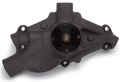 Picture of EDE Water Pump