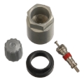 Picture of Schrader TPMS Service Pack - Buick-Cadillac-Chevrolet-GMC-Hummer-Isuzu - 25 Pack
