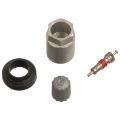 Picture of Schrader TPMS Service Pack - Infiniti-Nissan - 25 Pack