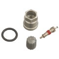 Picture of Schrader TPMS Service Pack - Chevrolet-Chrysler-Plymouth - 25 Pack