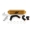 Picture of Mishimoto 2013+ Ford Focus ST Gold Intercooler w- Polished Pipes
