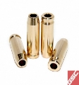 Picture of GSC P-D Subaru EJ205-EJ207-EJ257-EJ257B Intake Valve Guide Traditional +-003in OD - Single