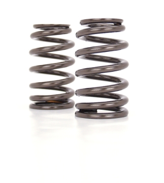 Picture of COMP Cams Valve Springs 1-28in Beehive