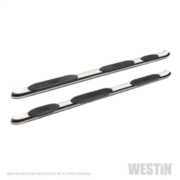Picture of Westin 2019 Ram 1500 Crew Cab PRO TRAXX 5 W2W Oval Nerf Step Bars - Stainless Steel