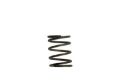 Picture of Turbosmart WG40 5PSI Inner Spring Brown-Grey