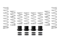 Picture of Eibach Pro-UTV 18-19 Textron Wildcat XX w- OE Fox Shocks Stage 2 Performance Springs