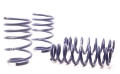 Picture of H&R 07-11 BMW 328i Sedan-335i Sedan E90 Race Spring