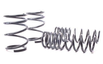 Picture of H&R 04-06 BMW 525i-530i-545i E60 Race Spring w-o Self Leveling