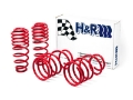 Picture of H&R 05-09 Ford Mustang-Convertible-GT-Shelby GT-Shelby GT-H V6-V8 Race Spring