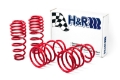Picture of H&R 05-09 Ford Mustang-Convertible-GT-Shelby GT-Shelby GT-H V6-V8 Race Spring