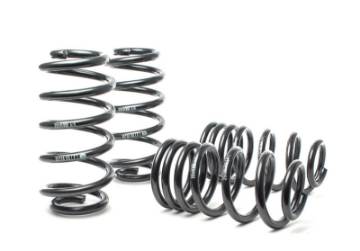 Picture of H&R 02-03 Audi S6 Avant AWD Sport Spring