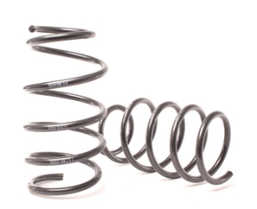 Picture of H&R 02-08 BMW 745i-745Li-750i-750Li E65 Sport Spring w- Self Leveling & EDC