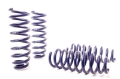 Picture of H&R 03-10 Volkswagen Touareg V6-V8 Sport Spring w-o Air Suspension