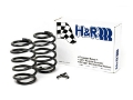 Picture of H&R 00-06 BMW X5 E53 Sport Spring Air Ride Rear Susp- Only