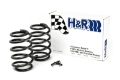 Picture of H&R 00-06 BMW X5 E53 Sport Spring Air Ride Rear Susp- Only