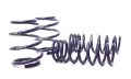 Picture of H&R 05-11 BMW M6 E64 Sport Spring