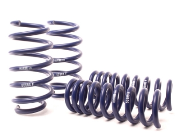 Picture of H&R 06-10 Dodge Charger RT-SE-SXT V6-V8 2WD Sport Spring w-Nivomat Only