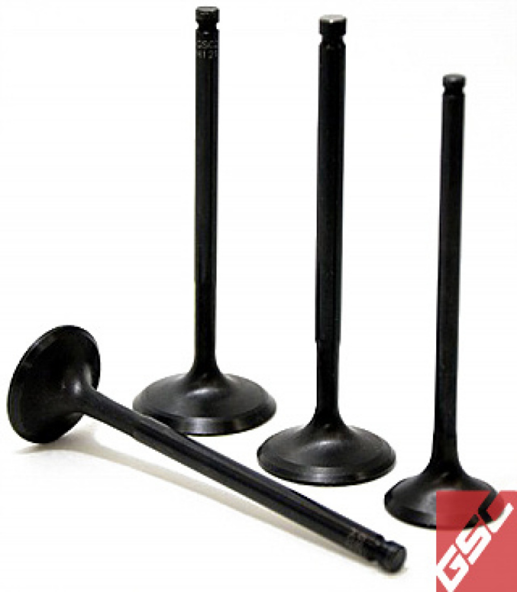 Picture of GSC P-D Honda K Series Vtec K20-K24 Chrome Polished Intake Valve - 36mm Head +1mm - Set of 8