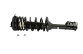 Picture of KYB Shocks & Struts Strut Plus Rear Left FORD Escort 1997-03 MERCURY Tracer 1997-99