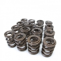 Picture of Skunk2 Tuner Series Honda-Acura B16A- B17A- B18C DOHC VTEC Alpha Valve Spring Set Dual Springs
