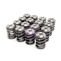 Picture of Skunk2 Alpha Series Honda-Acura B Series Valve Spring and Titanium Retainer Kit