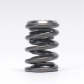 Picture of Skunk2 Alpha Series Honda-Acura B Series Valve Spring and Titanium Retainer Kit