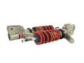 Picture of Skunk2 05-06 Acura RSX All Models Pro S II Coilovers 10K-10K Spring Rates