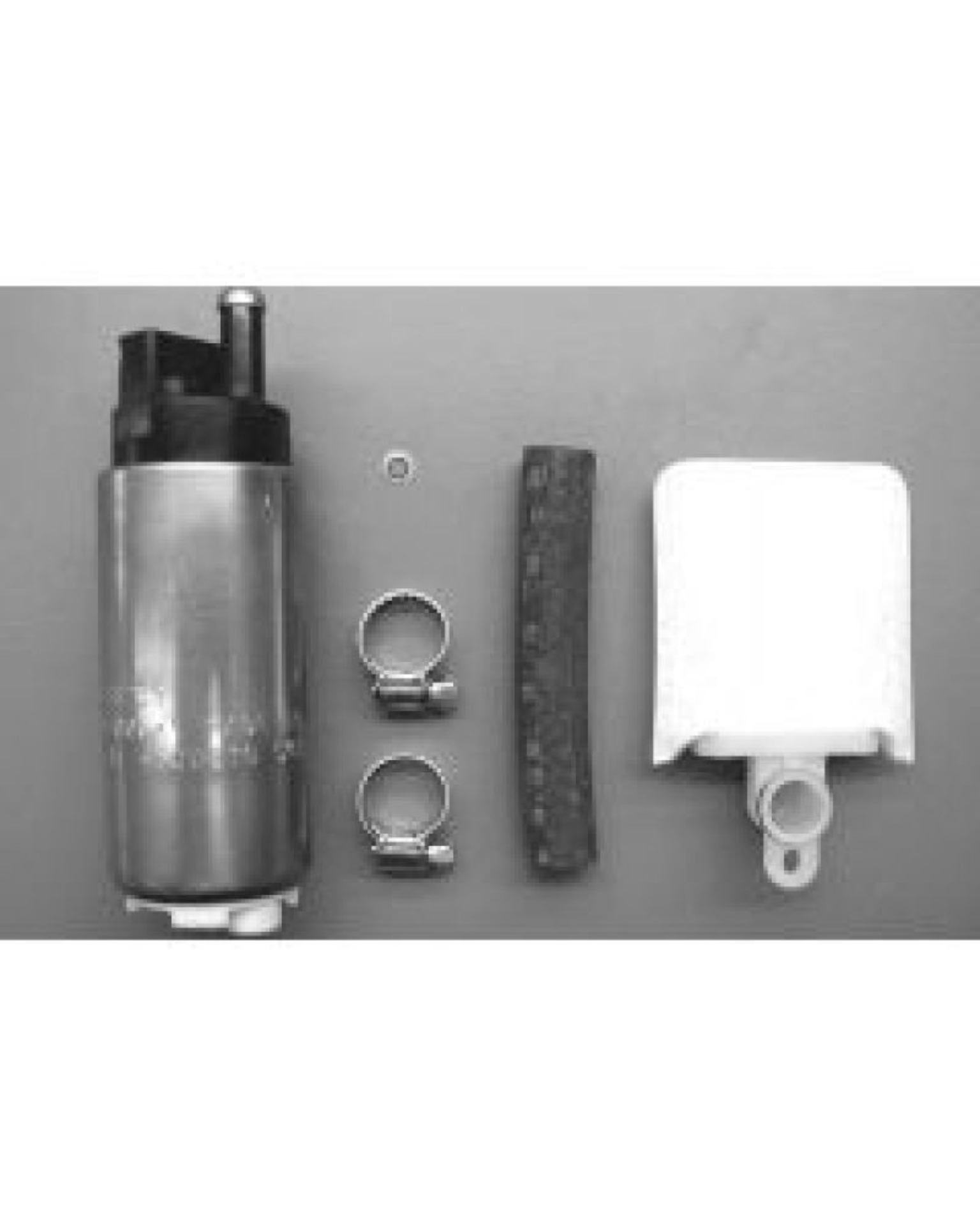 Picture of Walbro Fuel Pump-Filter Assembly