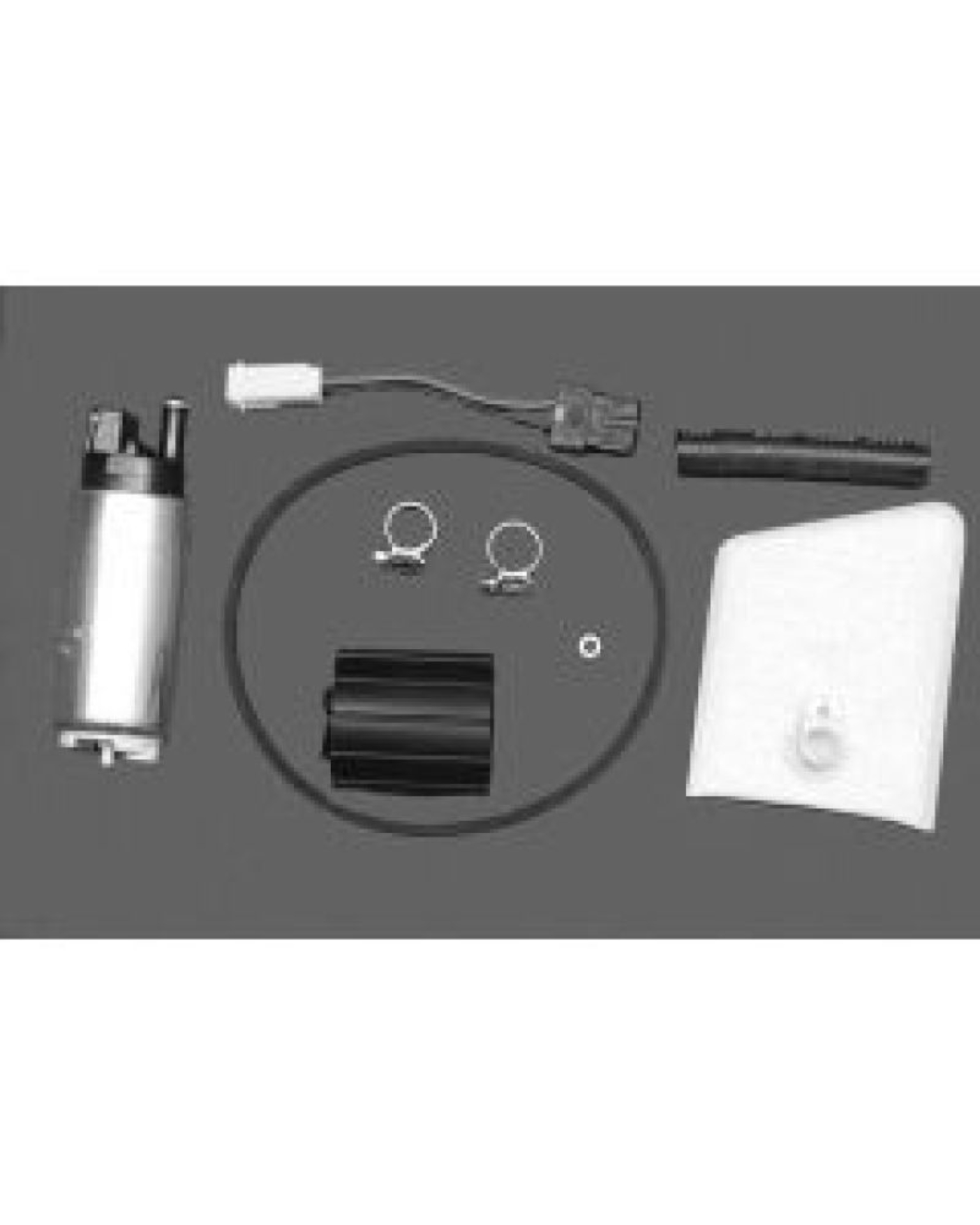Picture of Walbro Fuel Pump-Filter Assembly