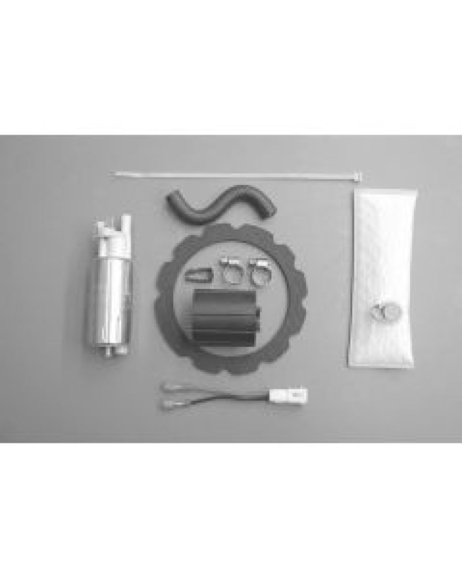 Picture of Walbro Fuel Pump-Filter Assembly