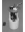 Picture of Walbro TANK UNIT ASSEMBLY