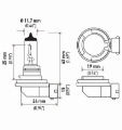 Picture of Hella H11 12V 55W PGJ19-2 T4 +50 Performance Halogen Bulb - Pair