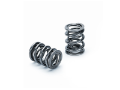 Picture of Supertech Honda H22A1-H22A4 Dual Valve Spring - Single Drop Ship Only