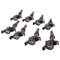 Picture of FAST 08-16 Ford Modular 3V 4-6L-5-4L-6-8L XR Series Ignition Coil - Set of 8