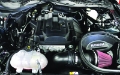 Picture of Roush 2015-2017 Ford Mustang 2-3L Cold Air Kit