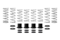 Picture of Eibach Pro-UTV 2015+ Polaris XP Turbo EPS Stage 2 Performance Springs