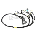 Picture of Rywire Honda B-Series OBD2 Tuck Budget Eng Harness w-OBD2 Dist-Inj-Alt-92-95 OBD1 Plug Adapter Req
