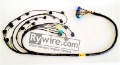 Picture of Rywire Honda S2000 AP1-AP2 Early Mil-Spec Engine Harness w-OEM Coils-Injector-ECU Plugs